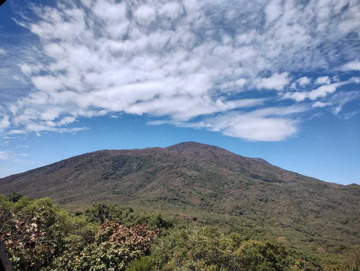 4 de 5
