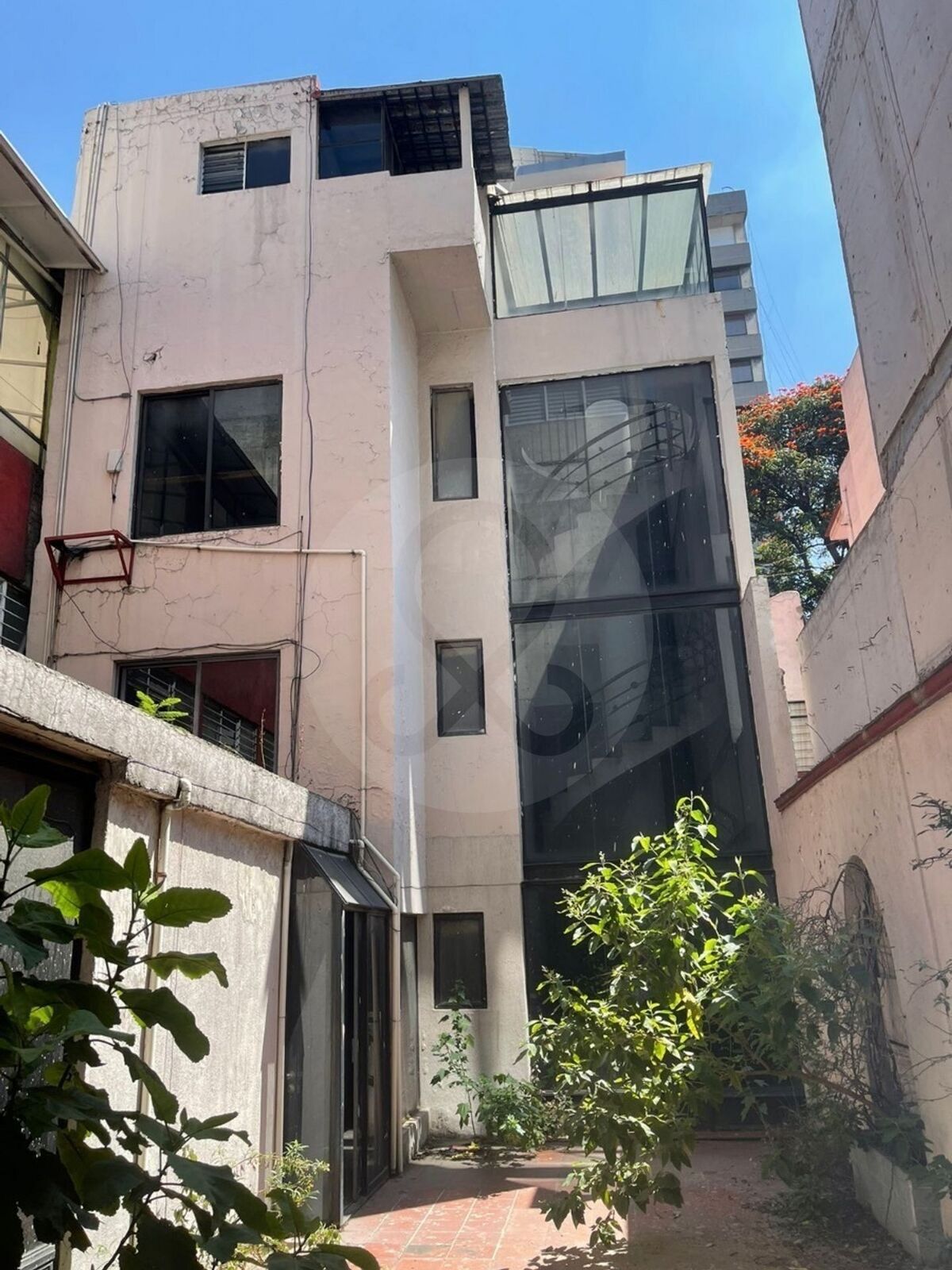 11 de 12