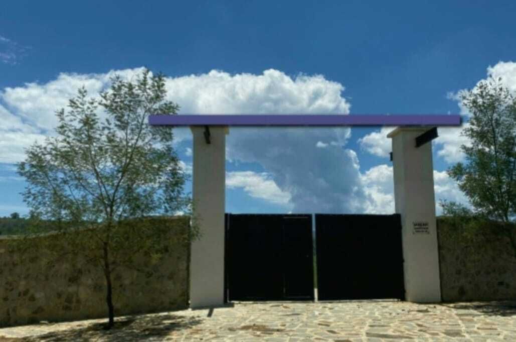 2 de 4