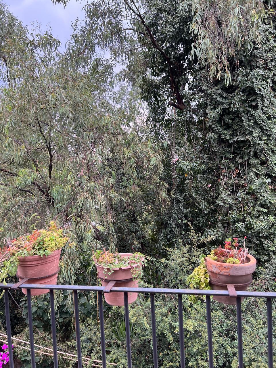 15 of 15: terraza
