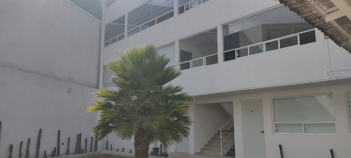 3 de 31