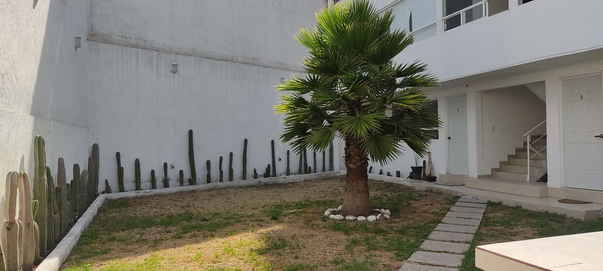 4 de 31