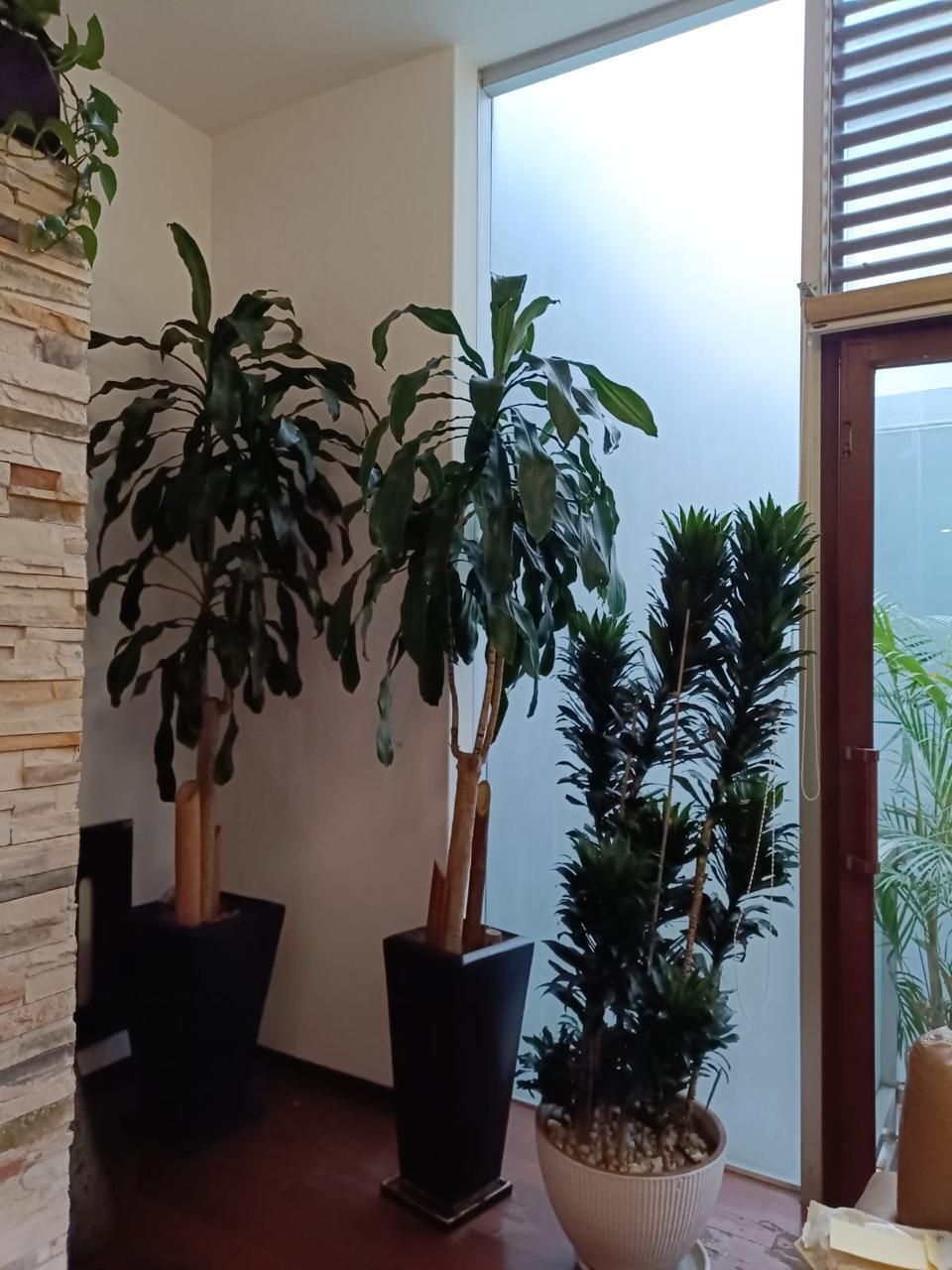 CASA EN CONDOMINIO EN VENTA EN NARVARTE - foto 4