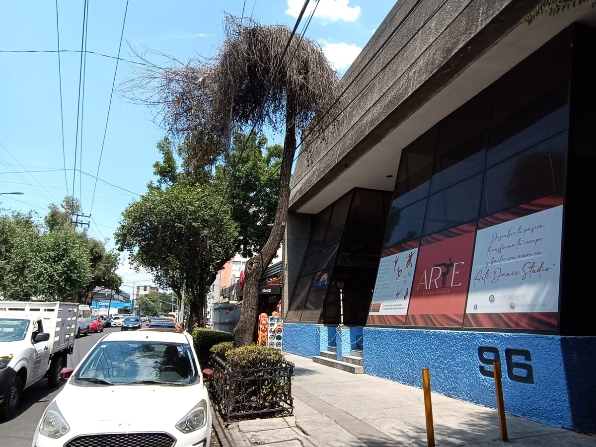4 de 37