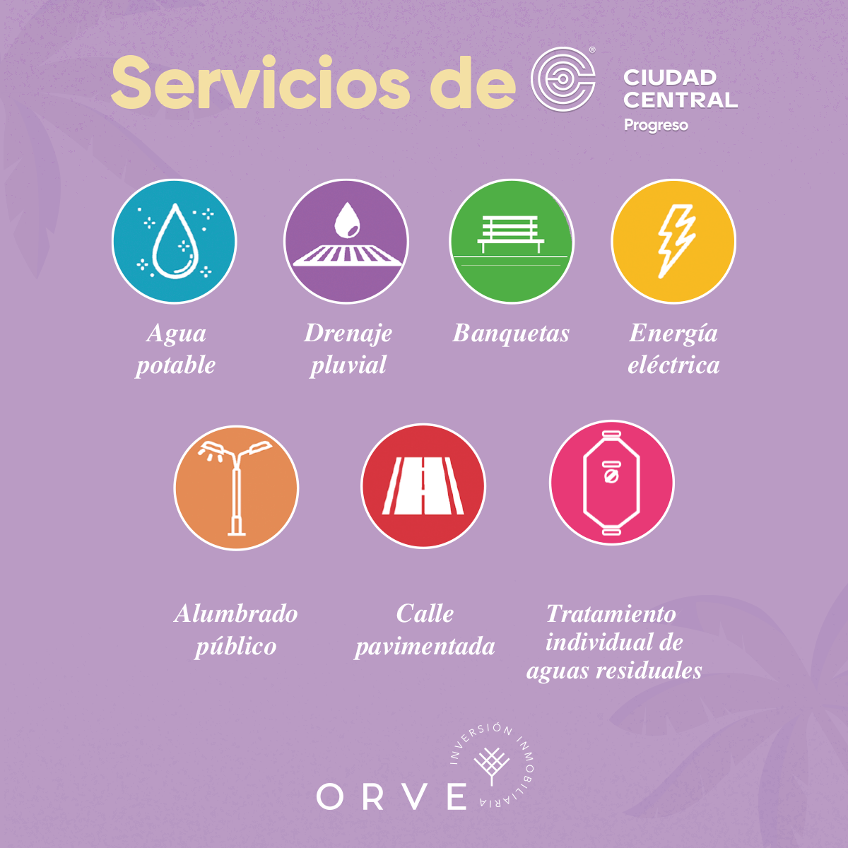 4 de 10: Servicios