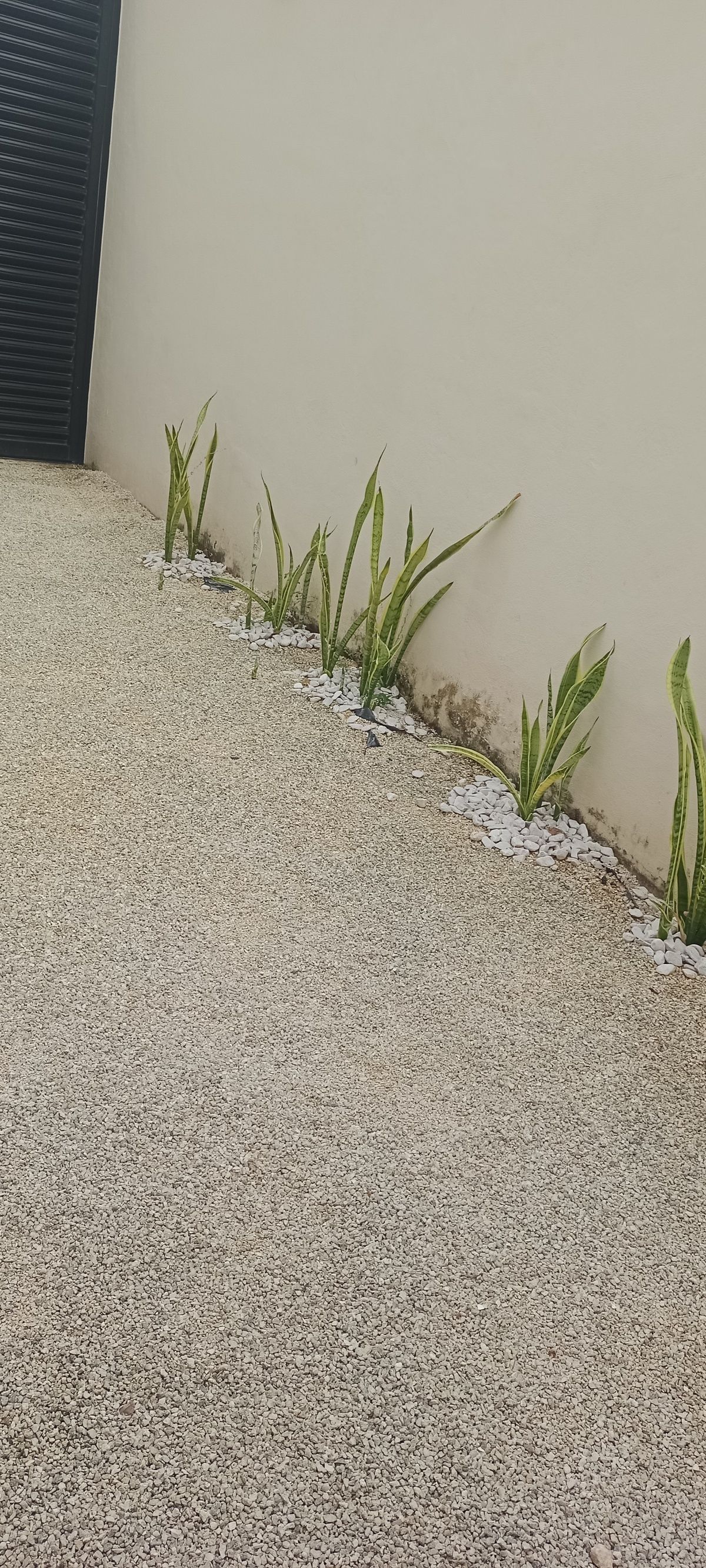 17 de 20: Terraza trasera