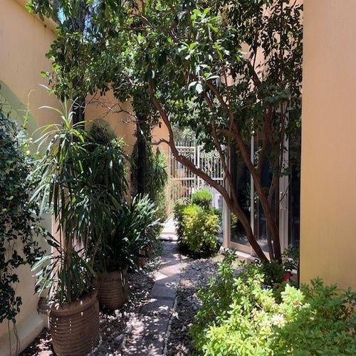 15 de 34: jardín