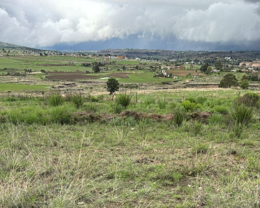 2 de 7