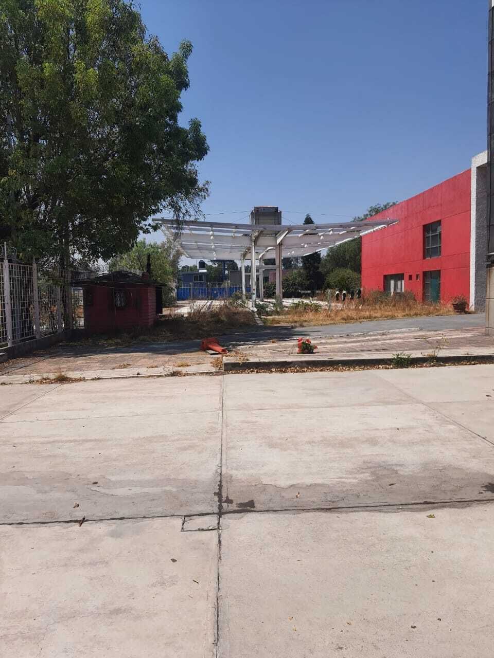11 de 12