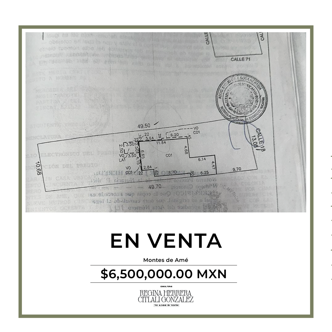 Imagen 2 de 4