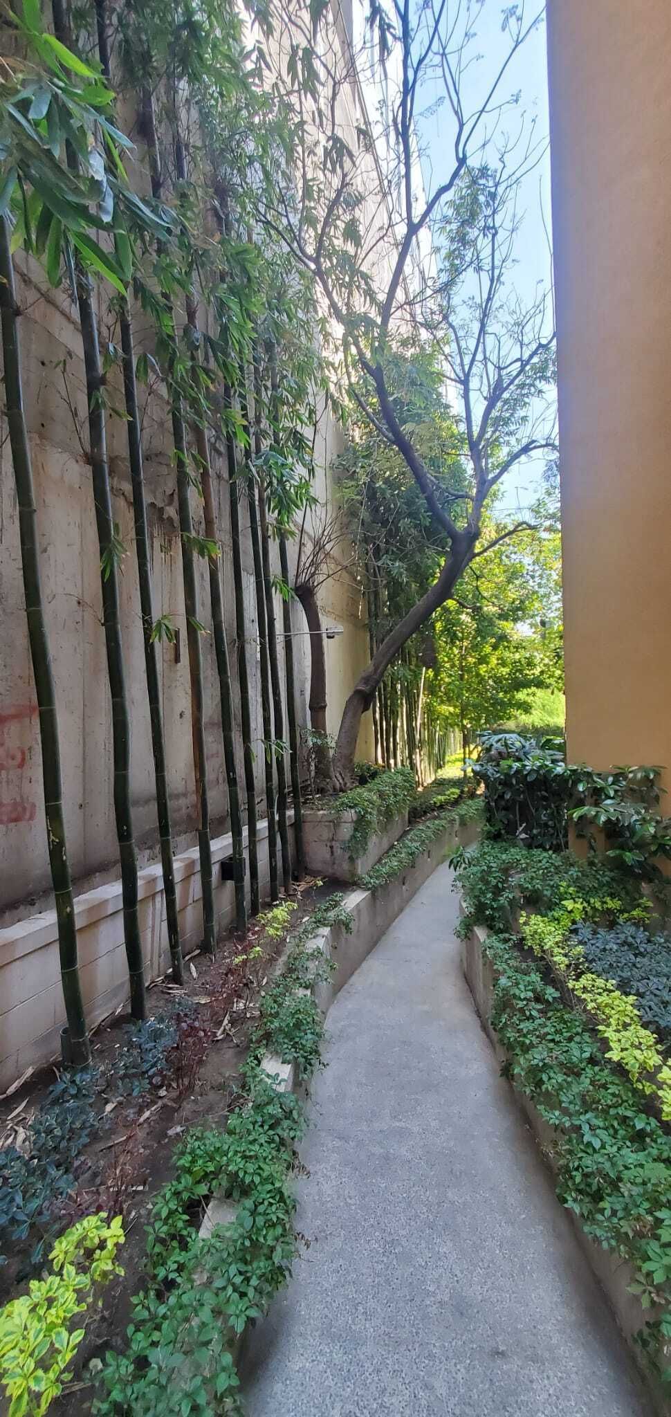 1 de 14