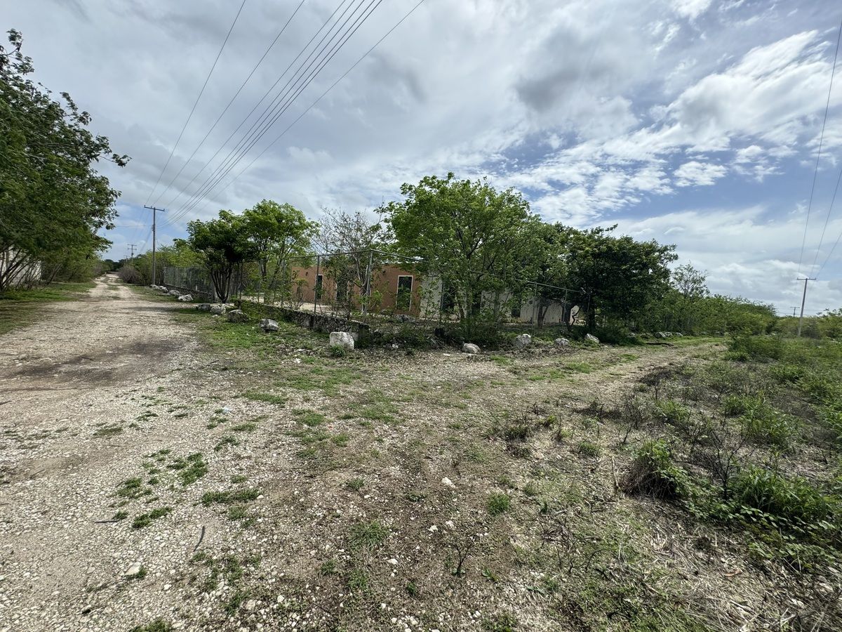 Imagen 5 de 5