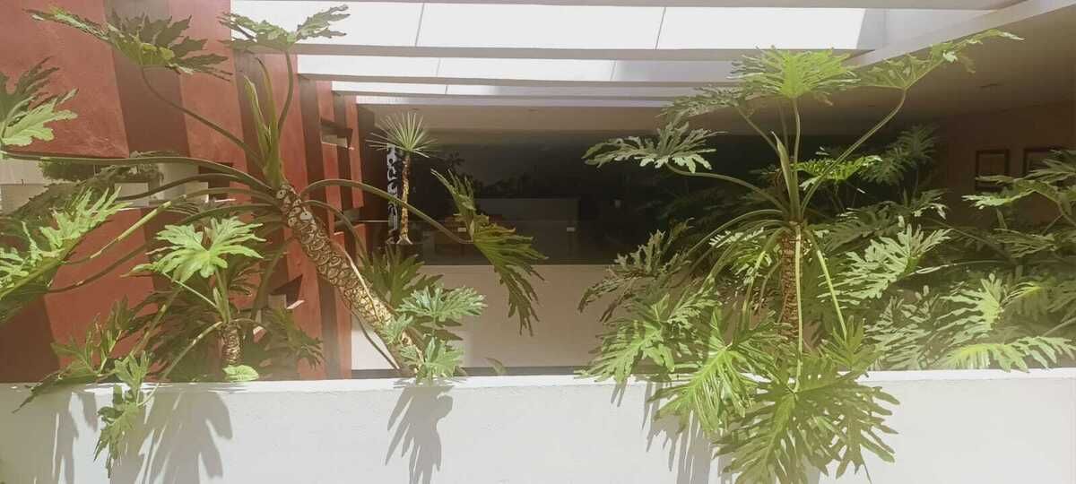 5 de 20