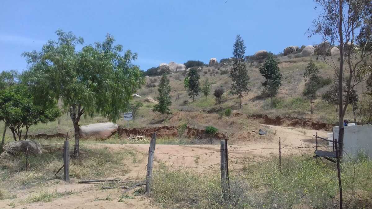14 de 15