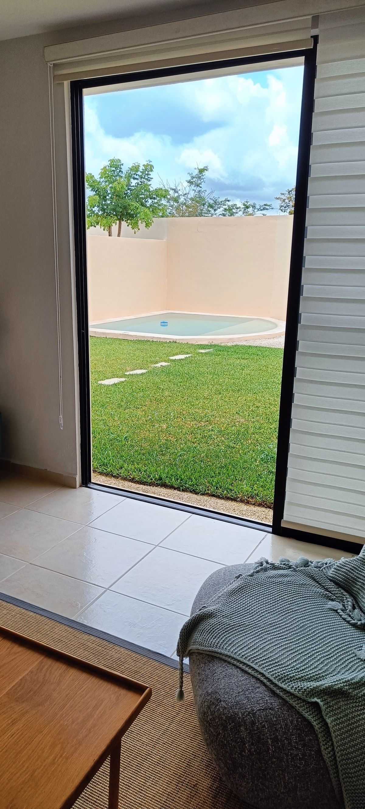 Vista desde la sala al jardín trasero