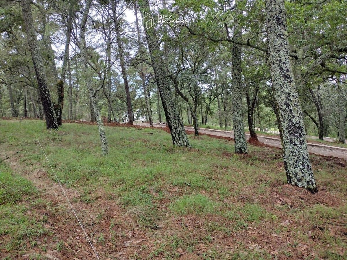 Terreno en Cardo Santos ,Tapalpa Jalisco - foto 3
