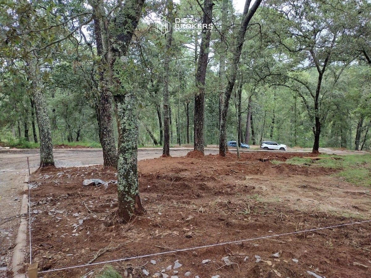 Terreno en Cardo Santos ,Tapalpa Jalisco - foto 4