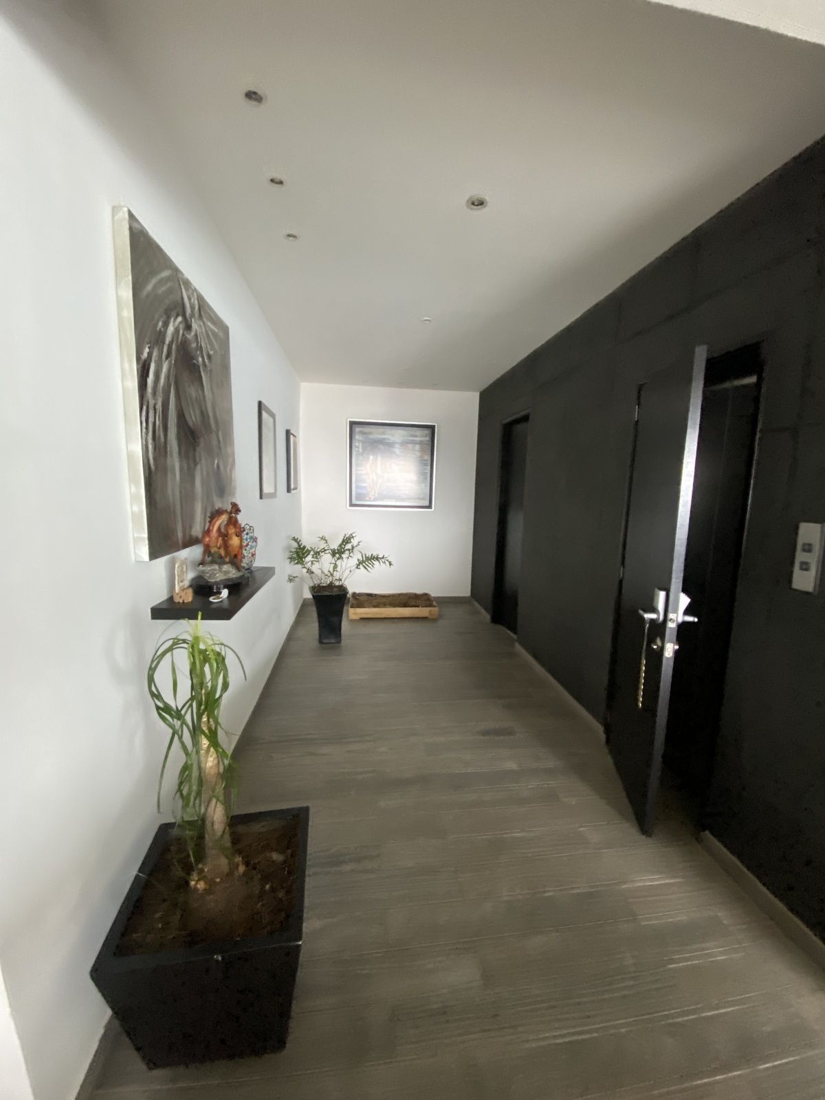 5 de 15: Hall entrada con elevador directo al piso