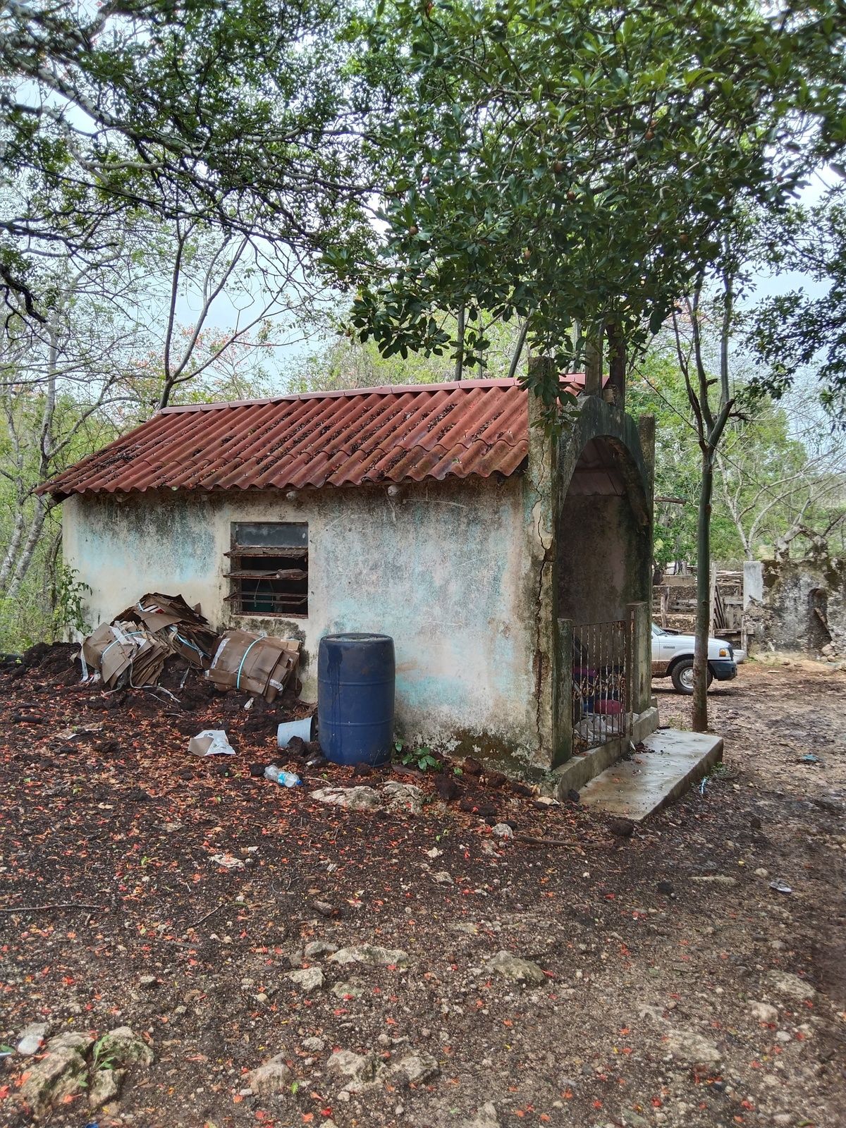 ANTIGÜO CASCO DE HACIENDA ACTUALMENTE RANCHO GANADERO EN OPERACIÓN 110 HECTÁREAS - foto 5