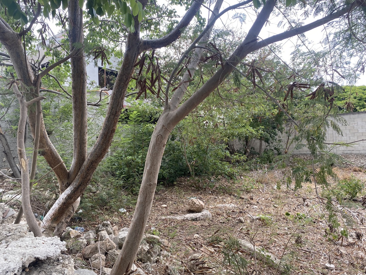 3 de 3