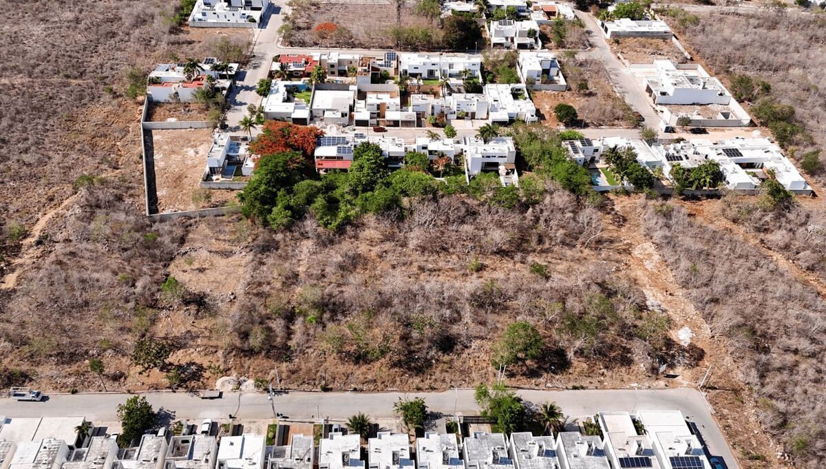 3 of 4: Terreno Cholul