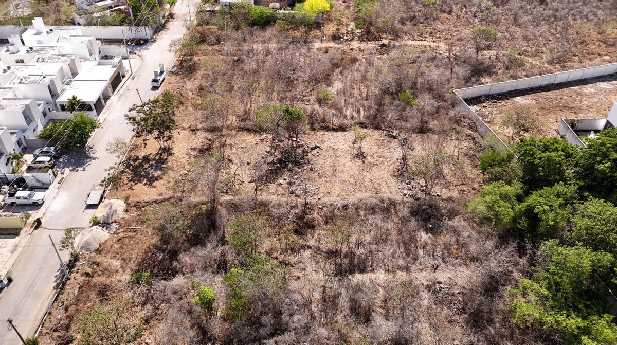 4 of 4: Terreno lado