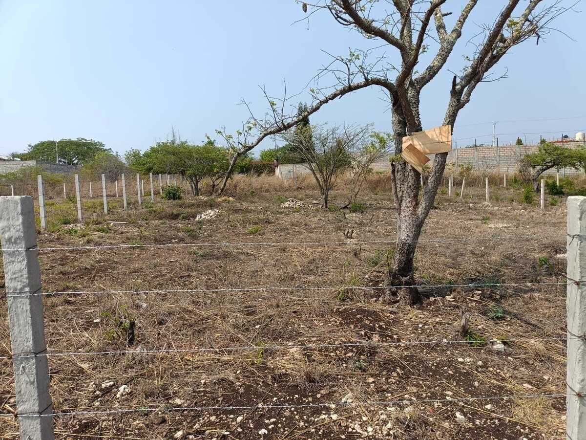 Se vende terreno en Berriozábal - foto 3