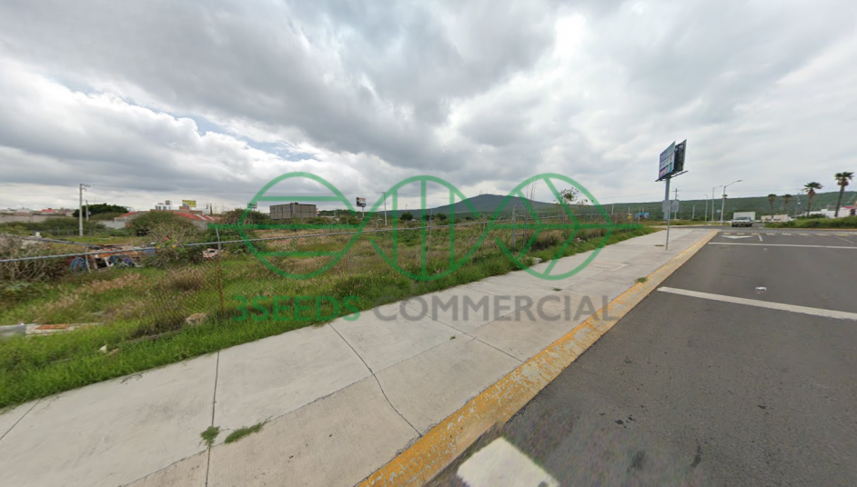 Imagen 1 de 4