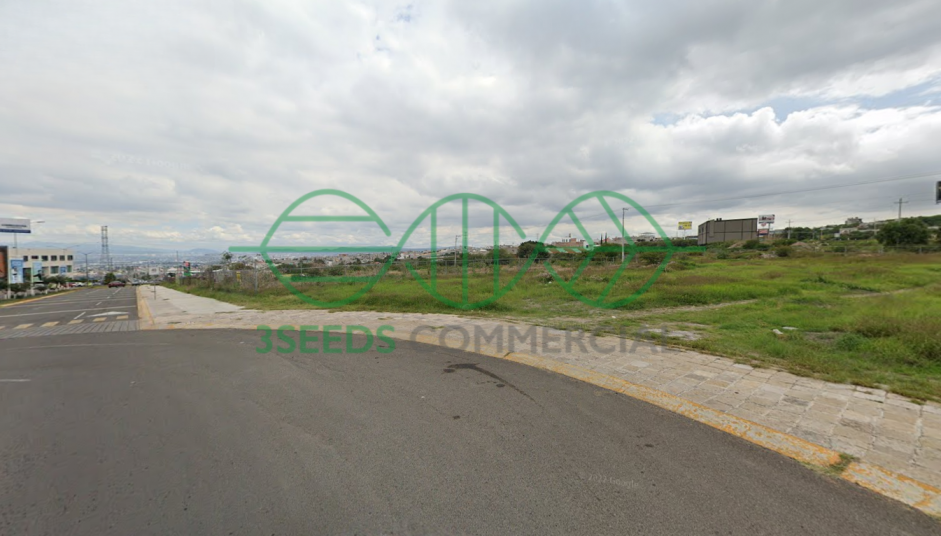 Imagen 2 de 4