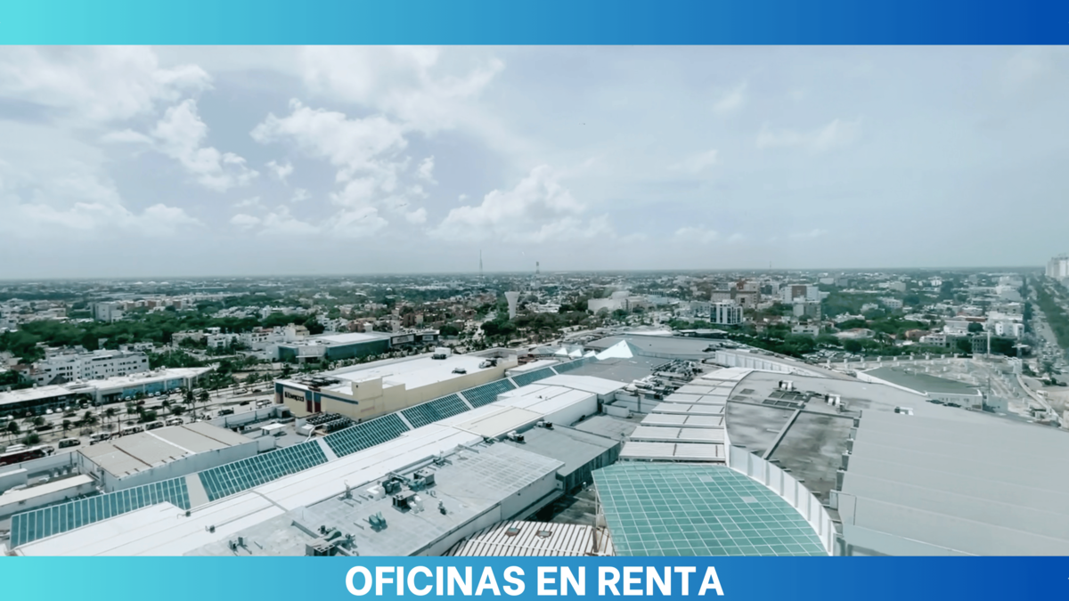 1 de 12