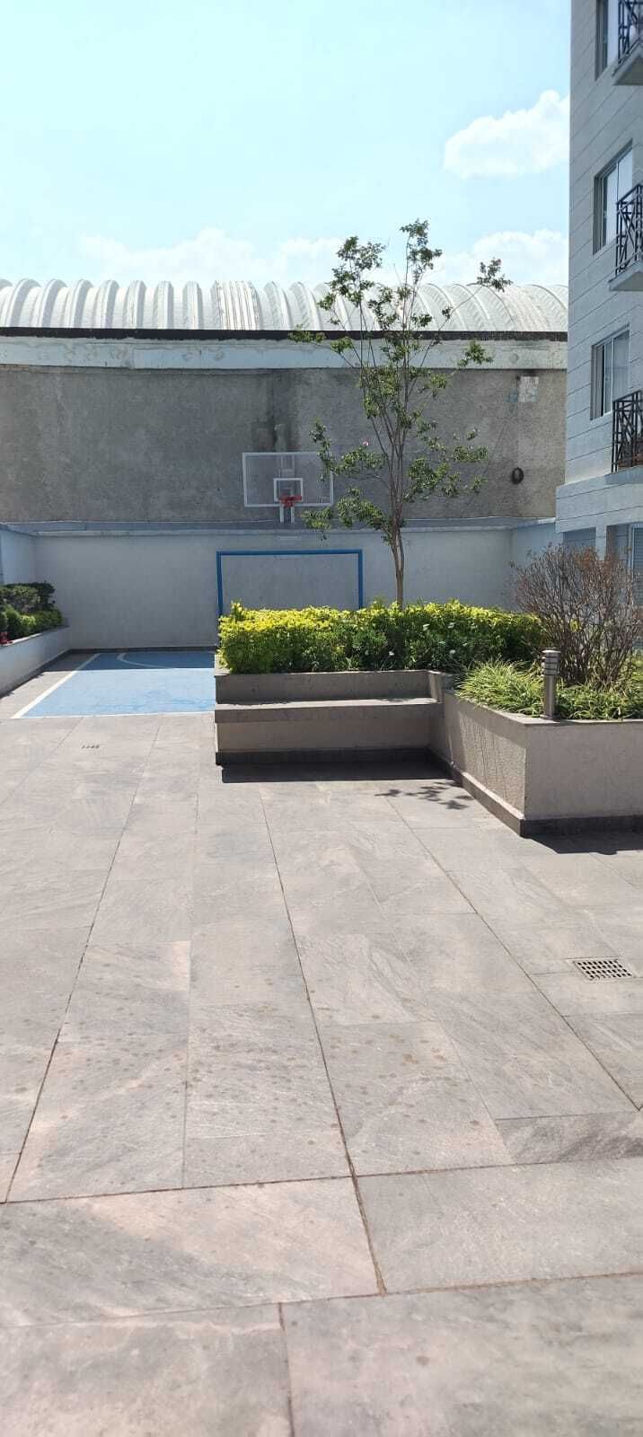 2 de 14