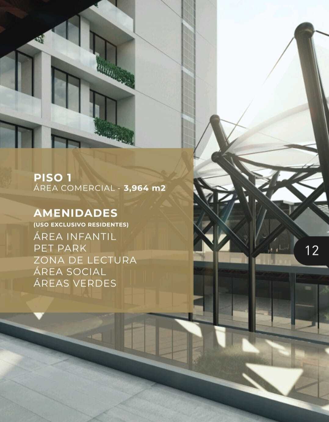 2 de 12