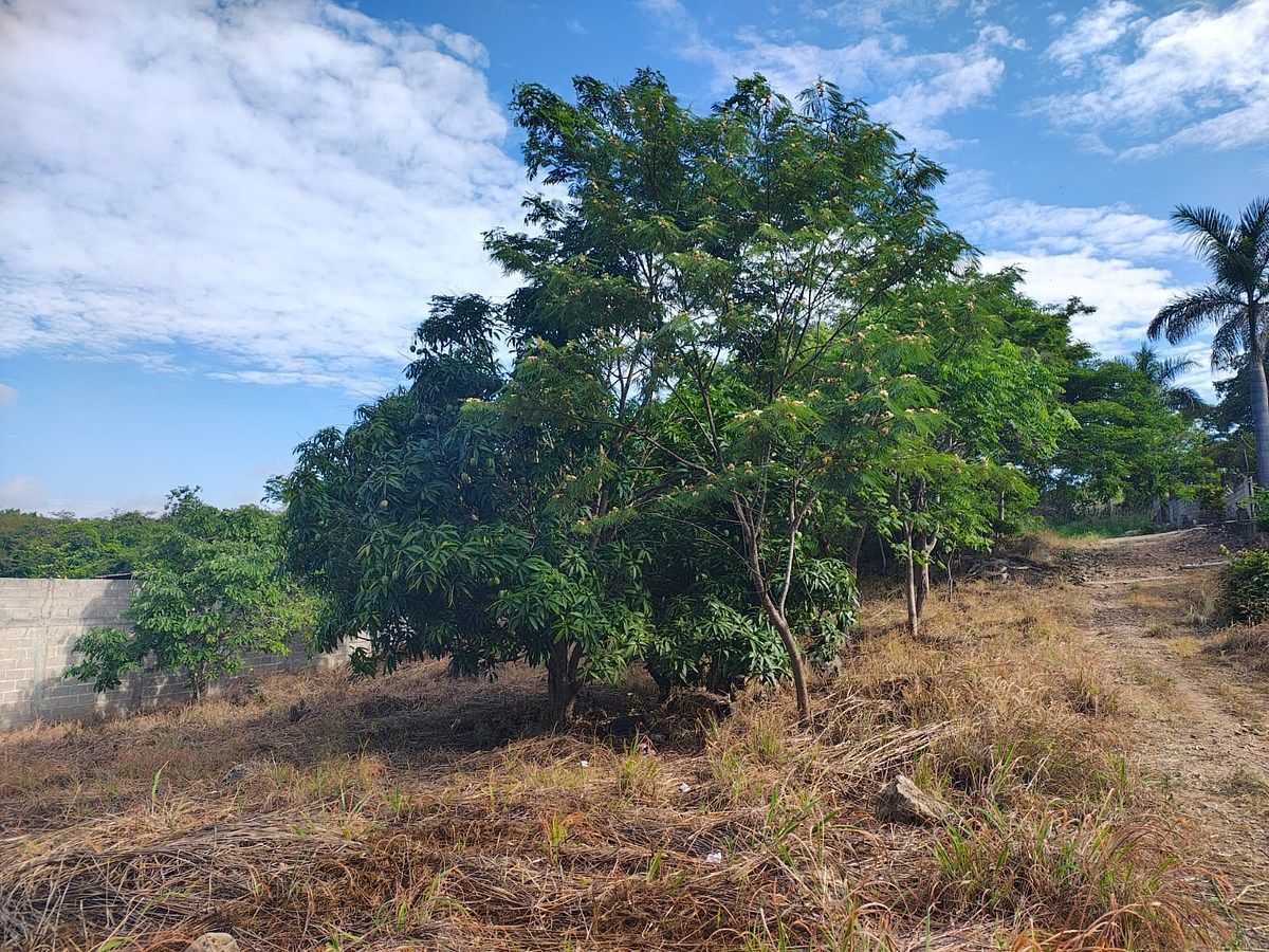 Lote em El Jobo, Tuxtla Gutiérrez, foto 9 de 10