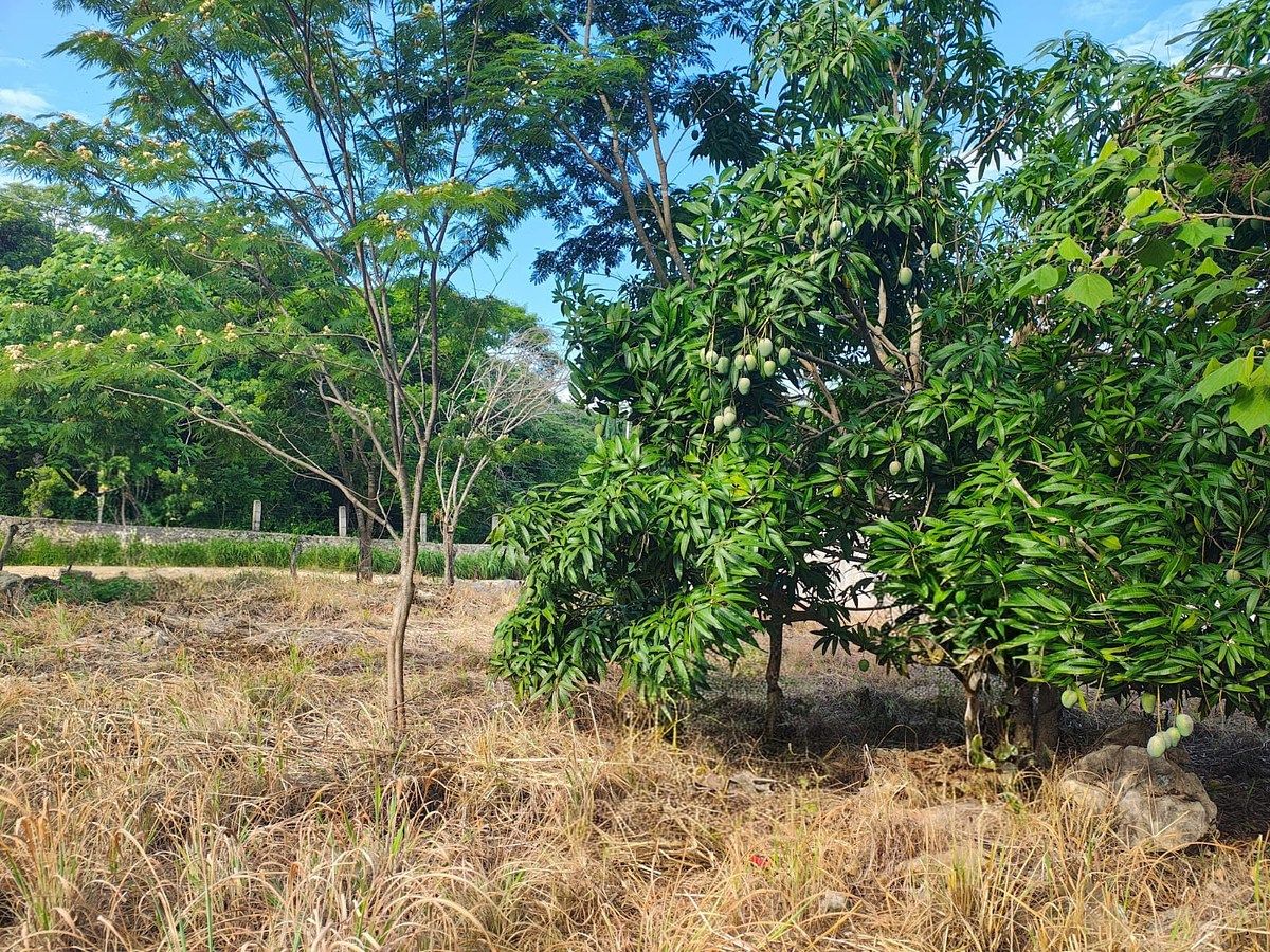 Terreno à Venda, foto 1 de 10