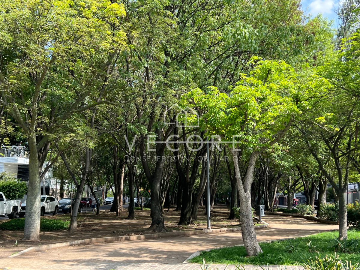 27 de 28