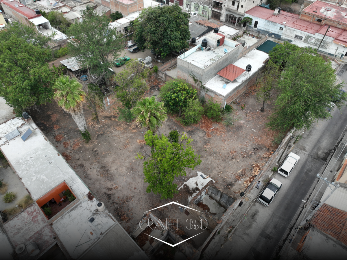 Imagen 10 de 10
