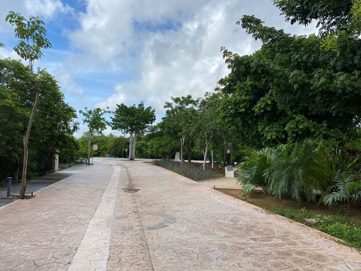 5 de 7