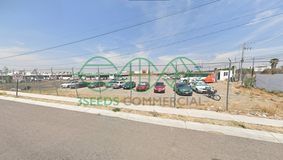 Imagen 3 de 5
