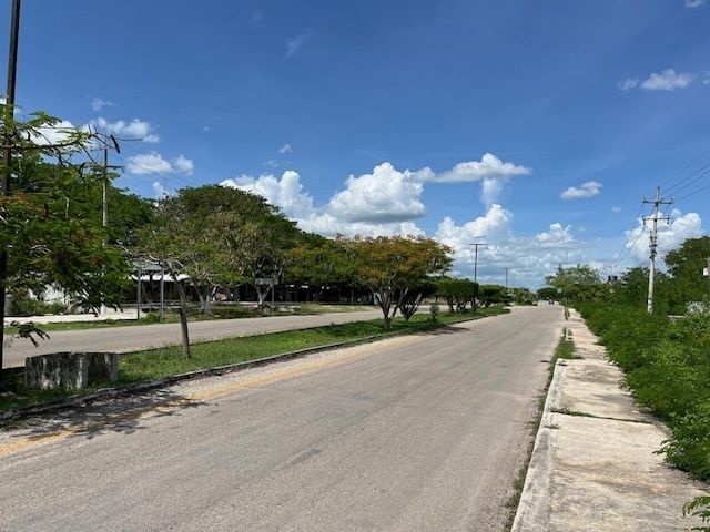 13 de 16