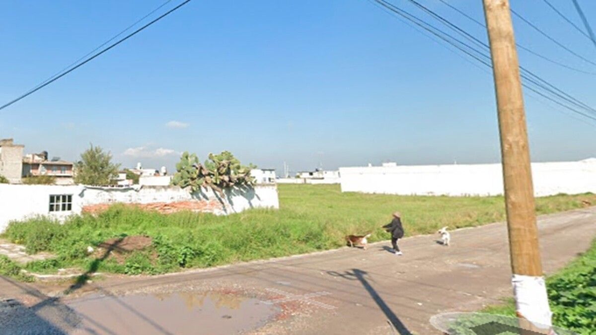 2 de 3