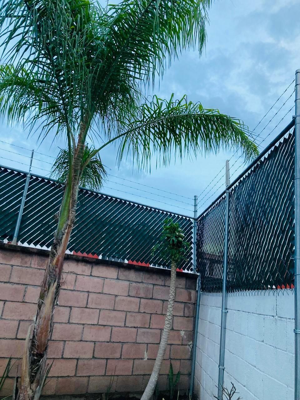 Casa en Los Olivos de Tlaquepaque, Tlaquepaque, foto 9 de 14