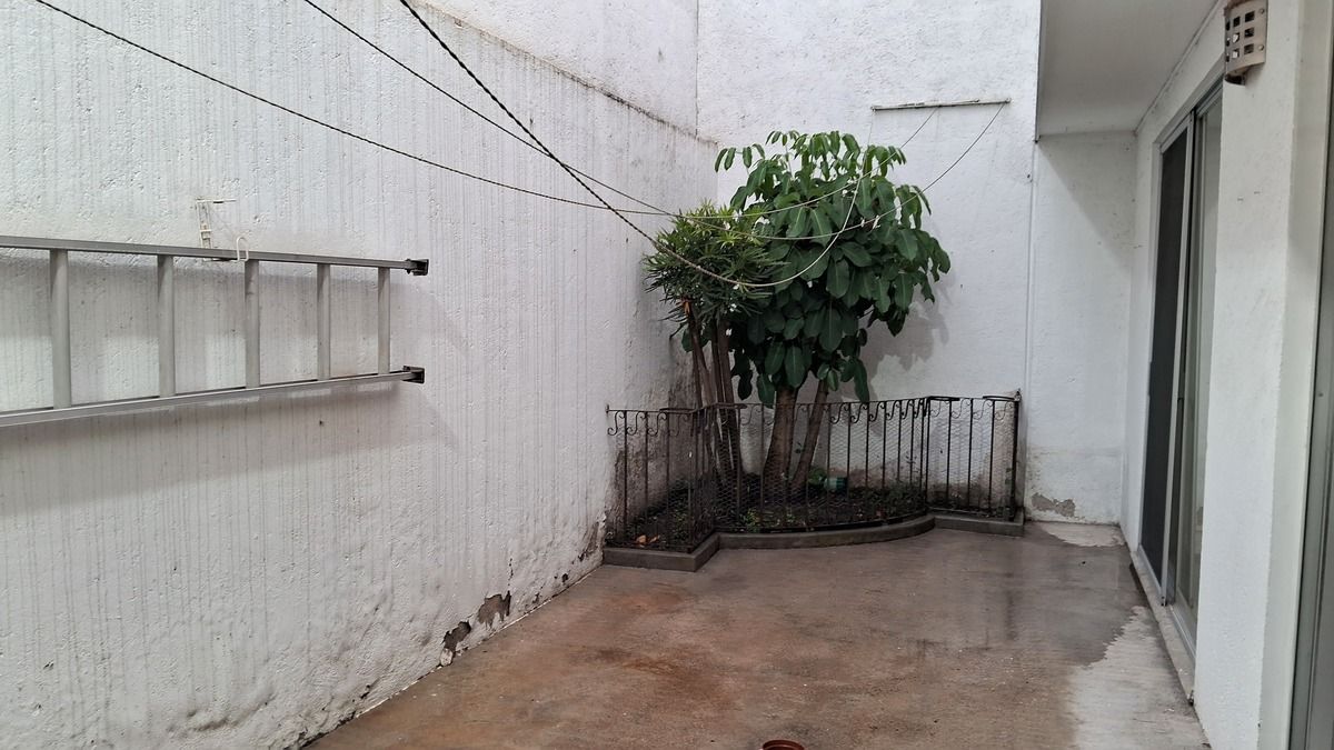 Patio y pequeño Jardín