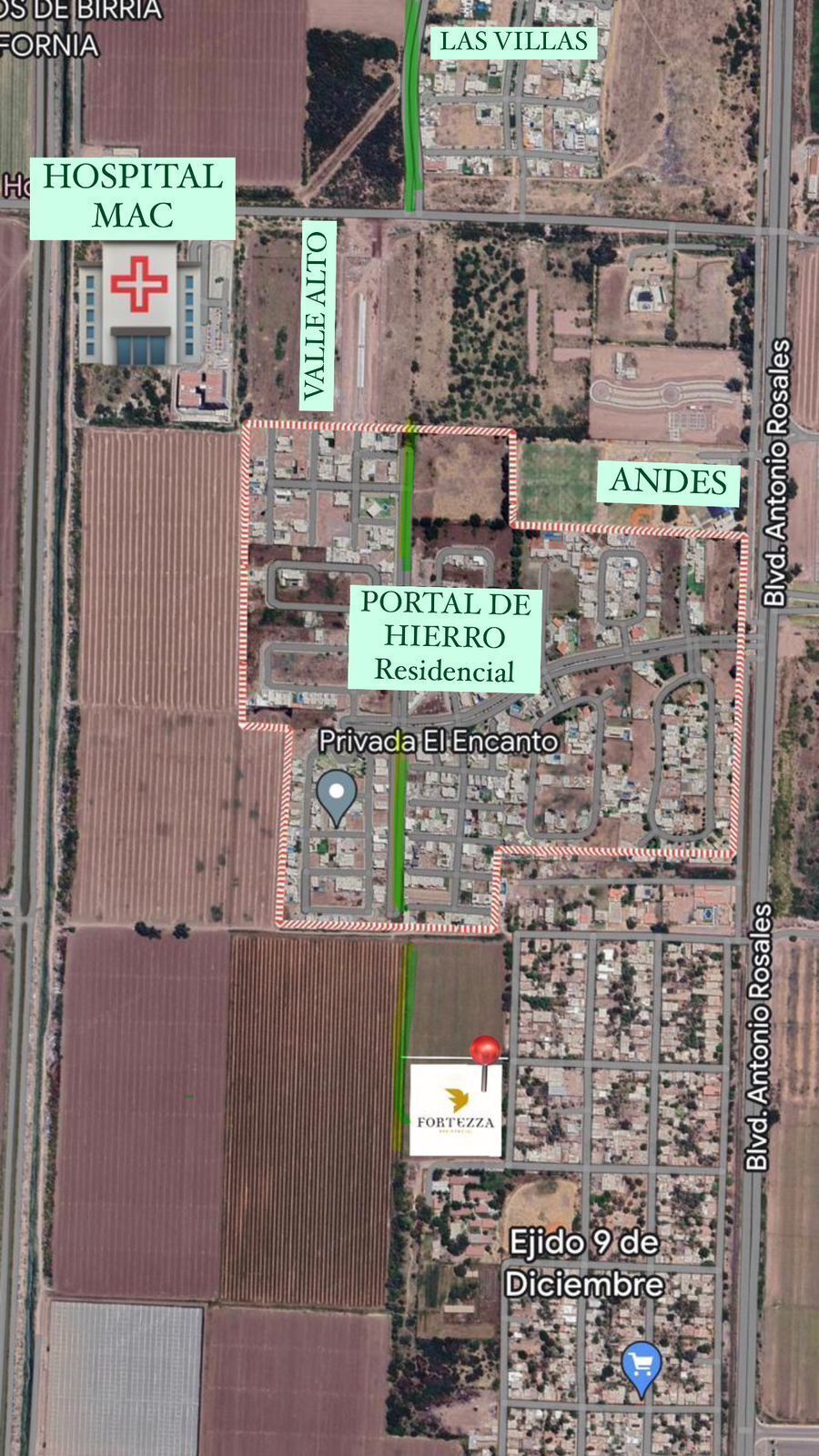 Imagen 3 de 10