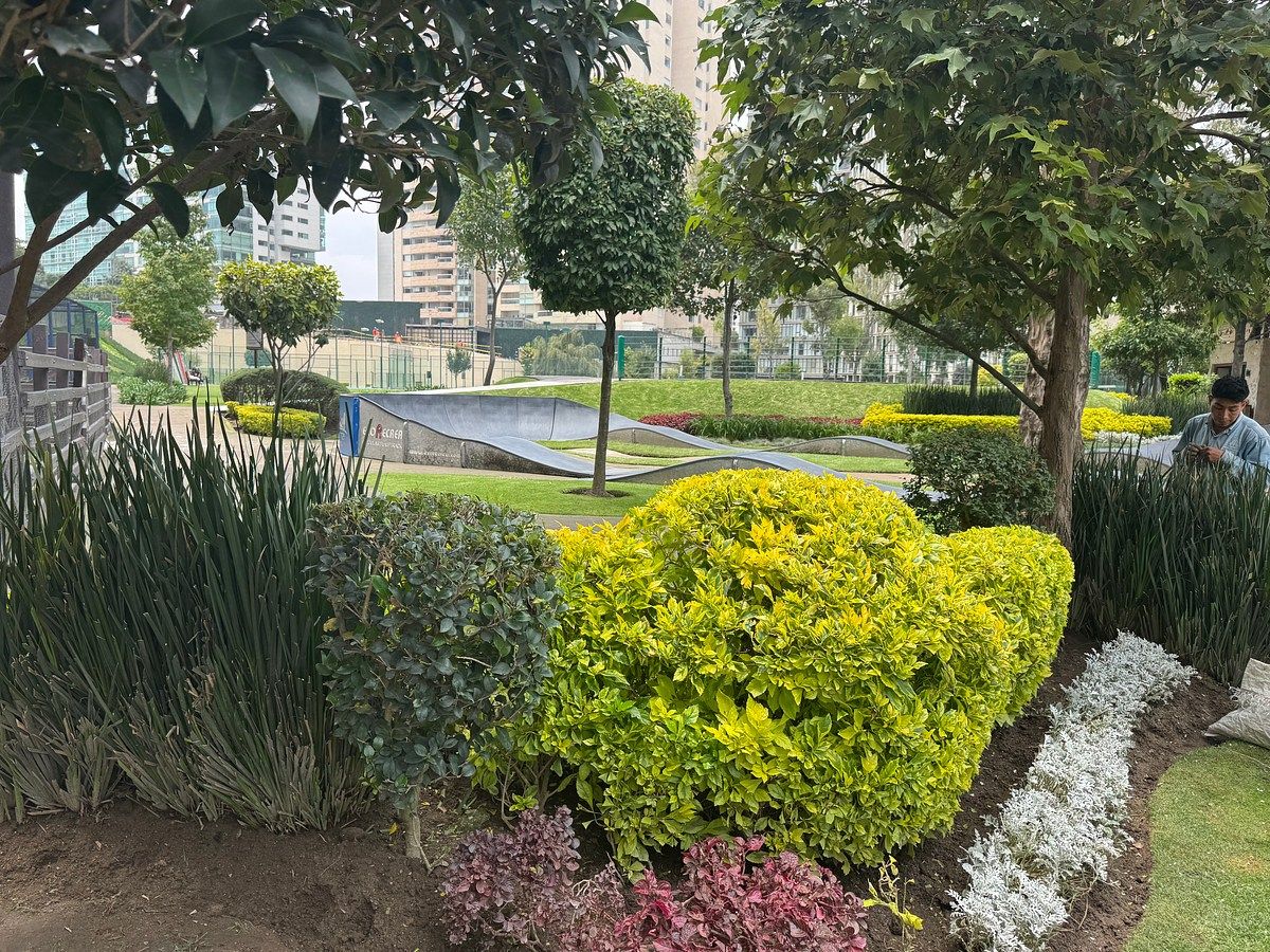 Departamento en Bosques de las Lomas, Cuajimalpa de Morelos, foto 19 de 28