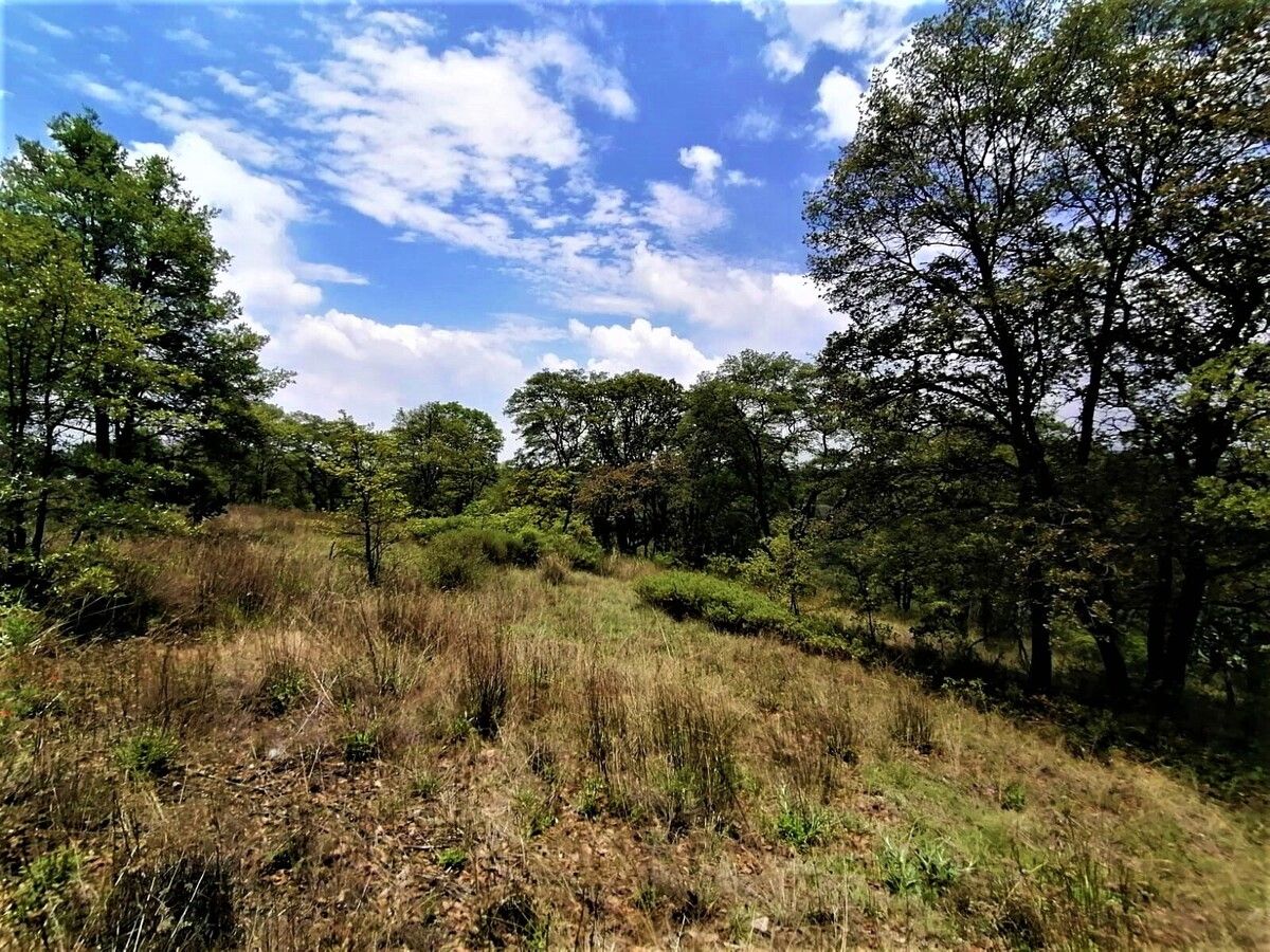 Lote em Villa del Carbón, Villa del Carbón, foto 4 de 11