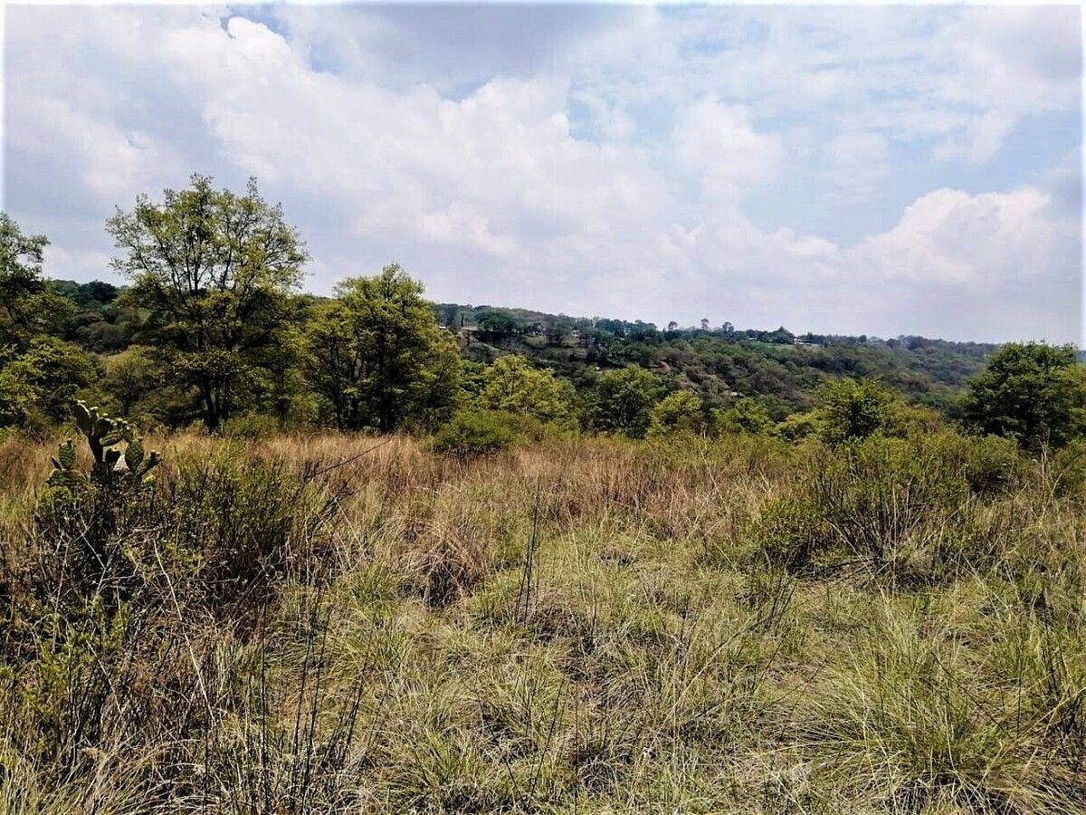 Lote em Villa del Carbón, Villa del Carbón, foto 5 de 11