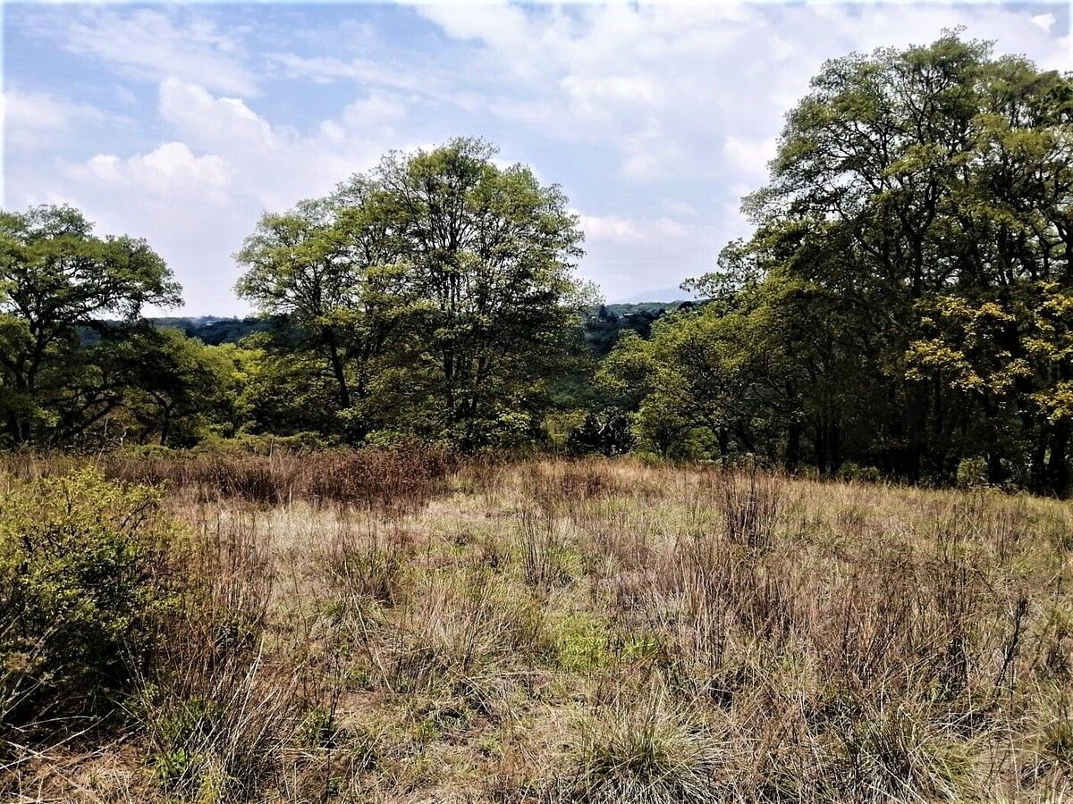 Lote em Villa del Carbón, Villa del Carbón, foto 6 de 11