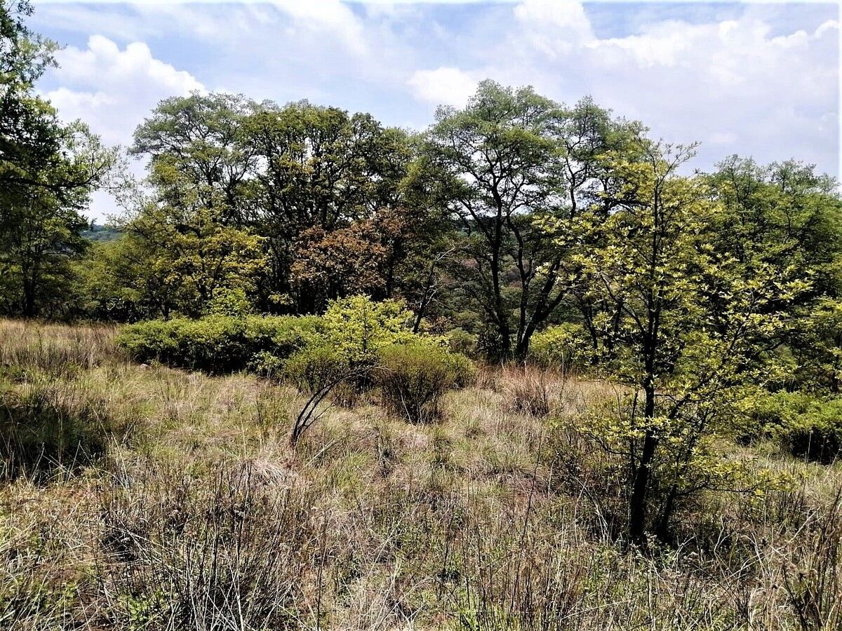 Lote em Villa del Carbón, Villa del Carbón, foto 7 de 11