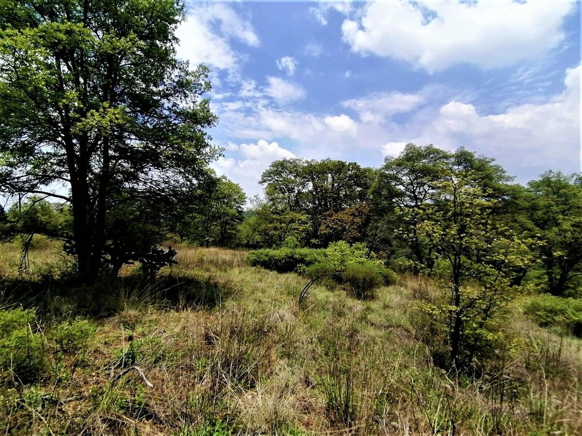 Lote em Villa del Carbón, Villa del Carbón, foto 8 de 11