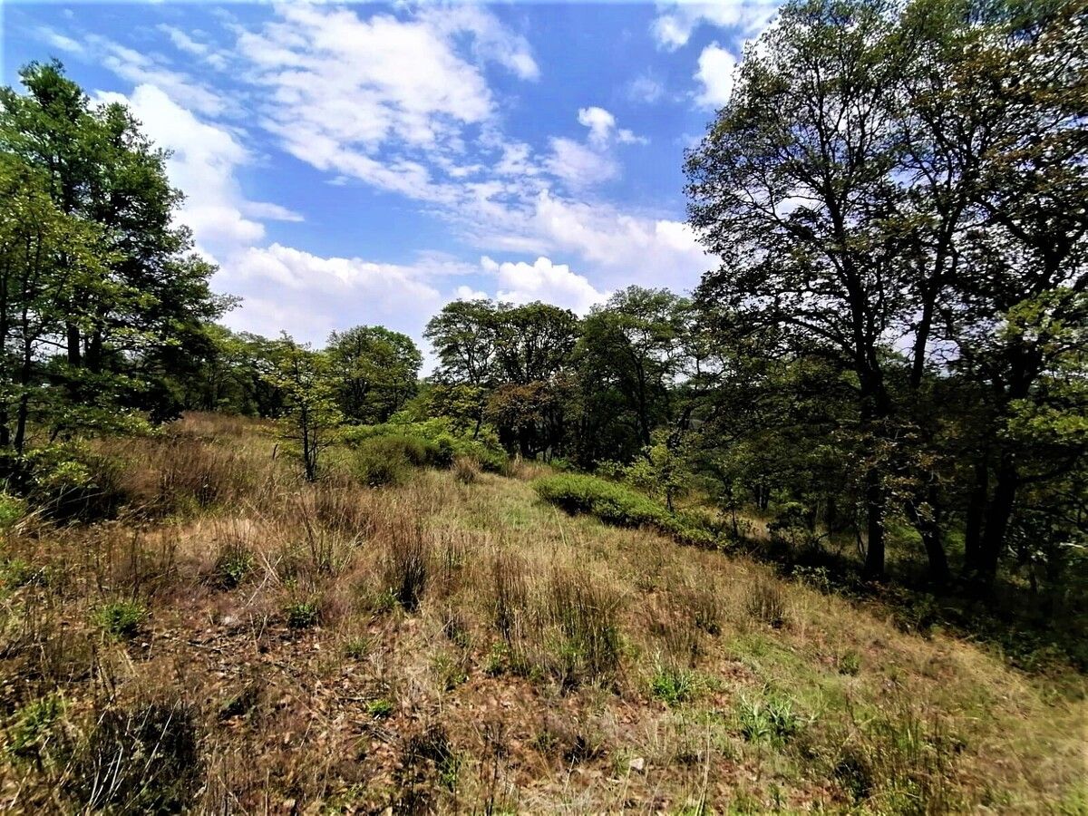 Lote em Villa del Carbón, Villa del Carbón, foto 10 de 11